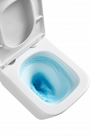 Подвесной унитаз безободковый Terminus Ватикан Монолит 490х340 белый Пятигорск - фото 8