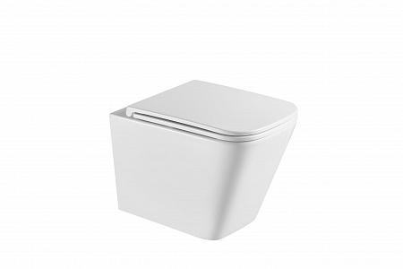 Подвесной унитаз безободковый Terminus Ватикан 490х340 белый Пятигорск - фото 4 Подвесной унитаз безободковый Terminus Ватикан 490х340 белый Пятигорск - фото 4