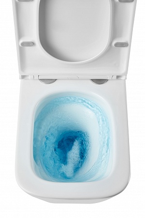 Подвесной унитаз безободковый Terminus Ватикан 490х340 белый Пятигорск - фото 8 Подвесной унитаз безободковый Terminus Ватикан 490х340 белый Пятигорск - фото 8