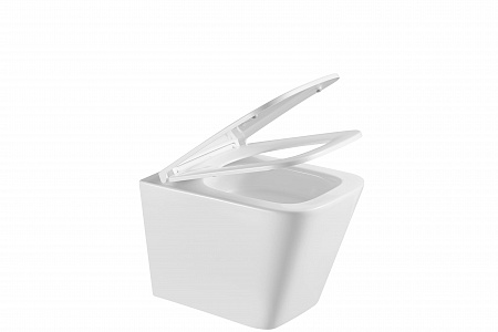 Подвесной унитаз безободковый Terminus Ватикан 490х340 белый Пятигорск - фото 9 Подвесной унитаз безободковый Terminus Ватикан 490х340 белый Пятигорск - фото 9