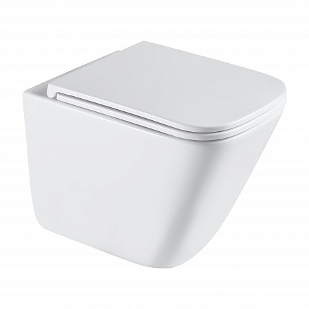 Подвесной унитаз безободковый Terminus Ватикан Монолит 490х340 белый Пятигорск - фото 2