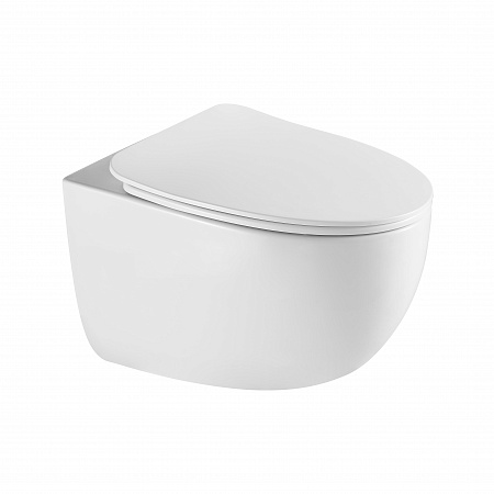 Подвесной унитаз безободковый Terminus Енисей Monolit 560х390 белый Пятигорск - фото 2