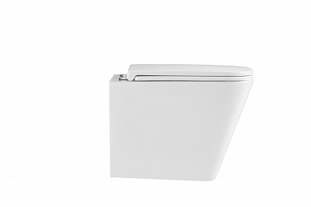 Подвесной унитаз безободковый Terminus Ватикан 490х340 белый Пятигорск - фото 6 Подвесной унитаз безободковый Terminus Ватикан 490х340 белый Пятигорск - фото 6