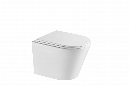 Подвесной унитаз безободковый Terminus Классик S 515х355 белый Пятигорск - фото 3