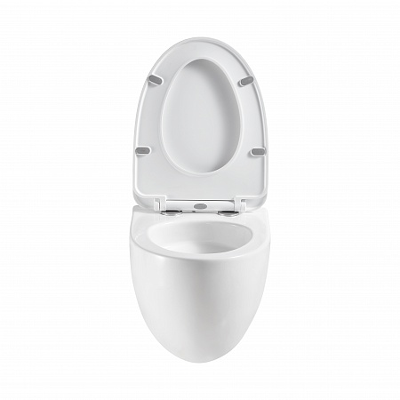 Подвесной унитаз безободковый Terminus Енисей Monolit 560х390 белый Пятигорск - фото 5