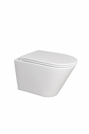 Подвесной унитаз безободковый Terminus Классик 540х365 белый Пятигорск - фото 5