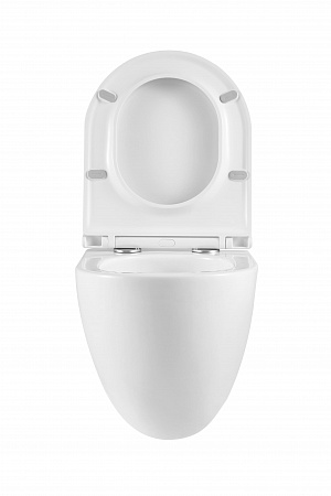 Подвесной унитаз безободковый Terminus Аврора Монолит 495х360 белый Пятигорск - фото 7