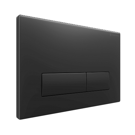 Клавиша смыва для инсталляции Terminus Классик кнопка прямоугольник цвет чёрный матовый Пятигорск - фото 2 Клавиша смыва для инсталляции Terminus Классик кнопка прямоугольник цвет чёрный матовый Пятигорск - фото 2